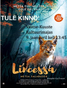 Lincessa, kooli 9.01